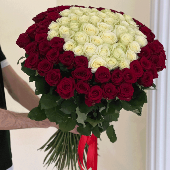 101 роза красная и в середине белая в Севастополе