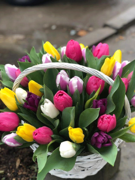 41 тюльпан микс в корзине в Севастополе