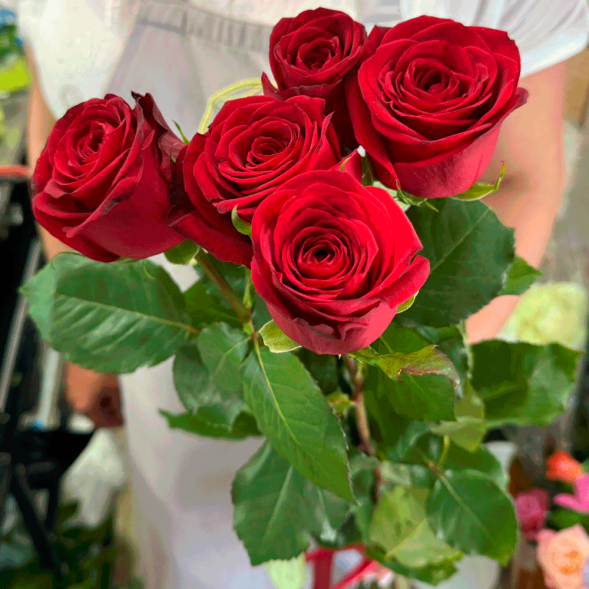 5 красных роз в Севастополе