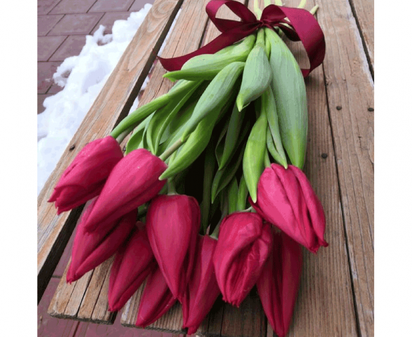 11 красных тюльпанов, лента в Севастополе