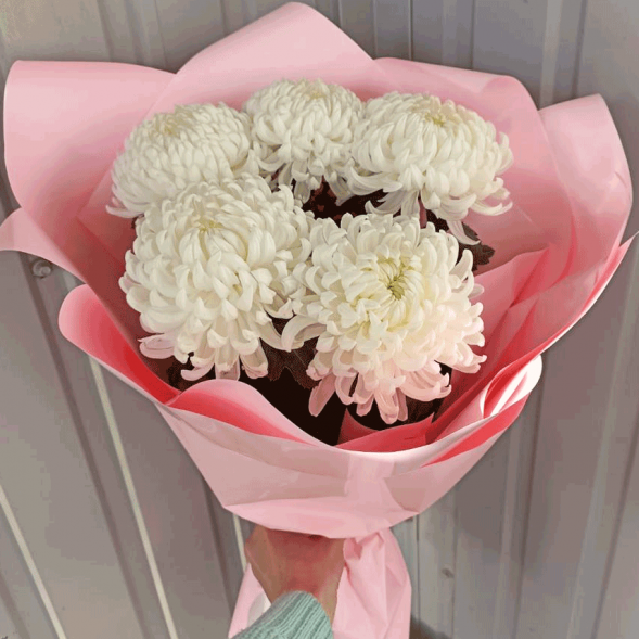 Букет 5 одноголовых хризантем в Севастополе