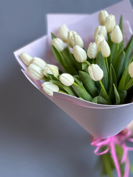 21 белый тюльпан в Севастополе