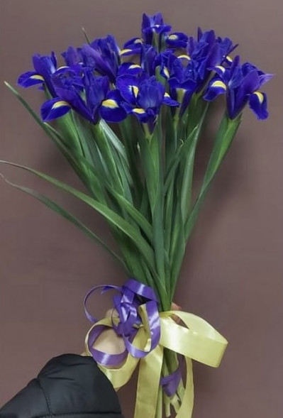 Букет 11 ирисов  в Севастополе