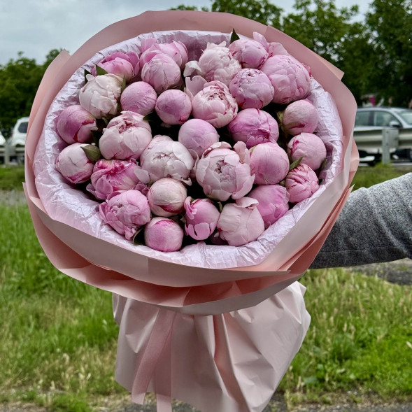 29 пионов "Сара-Бернар" в нежно-розовой упаковке в Севастополе