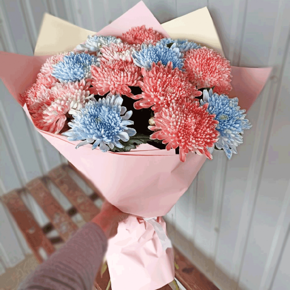 15 одноголовых хризантем микс в Севастополе