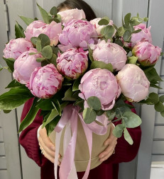 Пионы 13 шт. в шляпной коробке