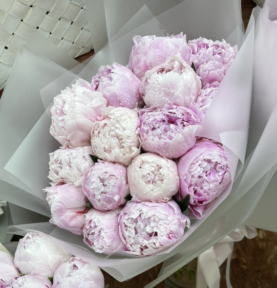 15 пионов Сара Бернар в Севастополе