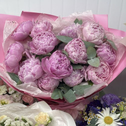 Букет 13 нежных пионов в упаковке