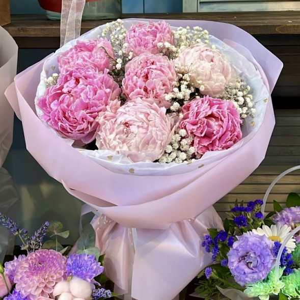 Букет 7 нежных пионов с гипсофилой в Севастополе